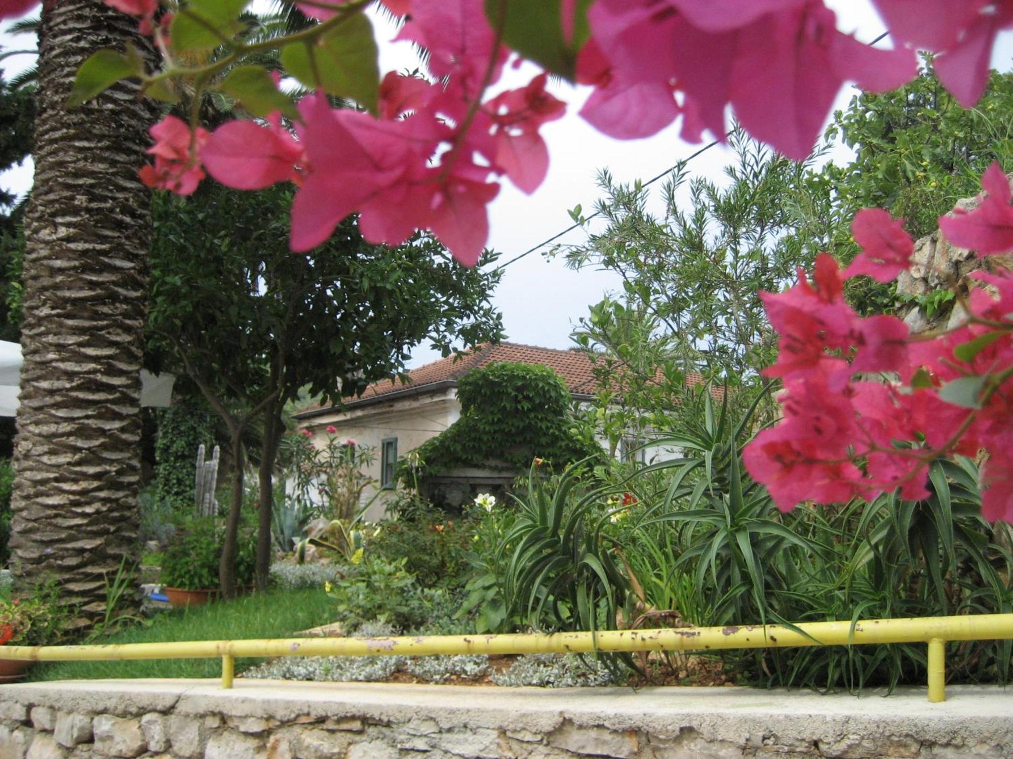 Apartments Veli Lošinj Extérieur photo